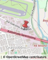 Bulbi e Sementi Grassobbio,24050Bergamo