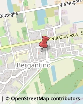 Agenti e Rappresentanti di Commercio Bergantino,45032Rovigo