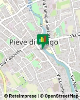 Franchising - Consulenza e Servizi,31053Treviso