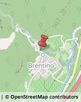 Agenzie di Animazione e Spettacolo Brentino Belluno,37020Verona