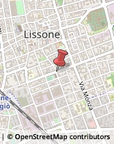 Revisione e Certificazione Bilanci Lissone,20851Monza e Brianza