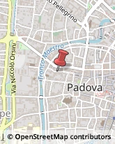 Partiti e Movimenti Politici Padova,35139Padova