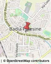 Borse - Dettaglio Badia Polesine,45021Rovigo