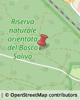 Riserve Naturali e Parchi Borgo Ticino,28040Novara