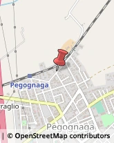 Commercialisti Pegognaga,46020Mantova