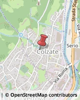 Tipografie Colzate,24020Bergamo