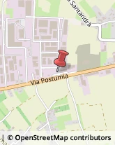 Profumi - Produzione e Commercio Ponzano Veneto,31050Treviso