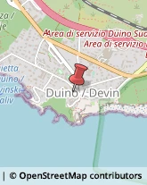 Ricerca Scientifica - Laboratori Duino-Aurisina,34011Trieste