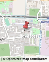 Scuole Pubbliche Torviscosa,33050Udine