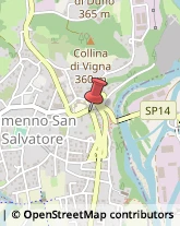Piante e Fiori - Dettaglio Almenno San Salvatore,24031Bergamo