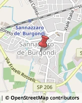 Ingegneri Sannazzaro de' Burgondi,27039Pavia