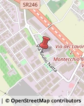 Verniciatura Metalli Montecchio Maggiore,36075Vicenza