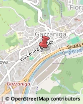 Scuole Materne Private Gazzaniga,24025Bergamo