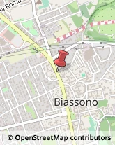 Agopuntura Biassono,20853Monza e Brianza