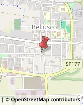 Macellerie Bellusco,20882Monza e Brianza