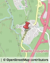 Locande e Camere Ammobiliate Brovello-Carpugnino,28833Verbano-Cusio-Ossola