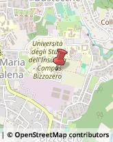 Collegi Varese,21100Varese