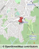 Ristoranti Selvino,24020Bergamo