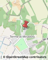 Noleggio Attrezzature e Macchinari Miradolo Terme,27010Pavia