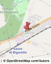 Gelaterie San Giorgio Bigarello,46030Mantova