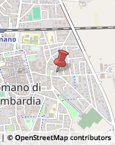 Alimenti Surgelati - Dettaglio Romano di Lombardia,24058Bergamo