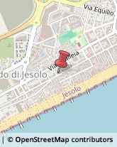 Pelli per Pellicceria Jesolo,30016Venezia