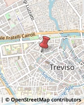 Piante e Fiori - Dettaglio Treviso,31100Treviso