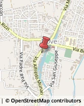 ,36055Vicenza