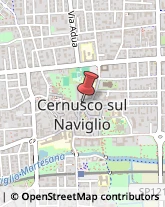 Società Immobiliari Cernusco sul Naviglio,20063Milano