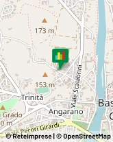 Piante e Fiori - Dettaglio,36061Vicenza