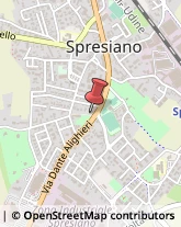 Serramenti ed Infissi, Portoni, Cancelli Spresiano,31027Treviso