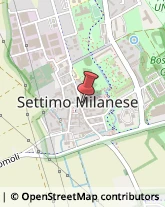 Piercing e Tatuaggi Settimo Milanese,20019Milano