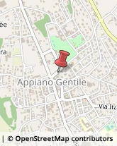 Naturopatia Appiano Gentile,22070Como