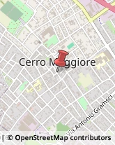 Angiologia - Medici Specialisti Cerro Maggiore,20023Milano