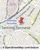 Pizzerie Settimo Torinese,10036Torino