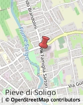 Autotrasporti Pieve di Soligo,31053Treviso