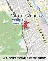 Istituti di Bellezza Vittorio Veneto,31029Treviso