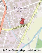 Bulbi e Sementi Vicenza,36050Vicenza