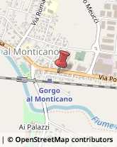 Alimentari Gorgo al Monticano,31040Treviso