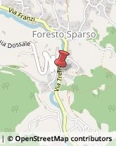 Farmacie Foresto Sparso,24060Bergamo