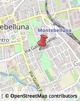 Istituti Finanziari Montebelluna,31044Treviso