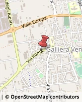 Notai Galliera Veneta,35015Padova