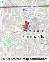 Aziende Sanitarie Locali (ASL) Romano di Lombardia,24058Bergamo