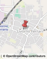 Veterinaria - Ambulatori e Laboratori Livorno Ferraris,13046Vercelli