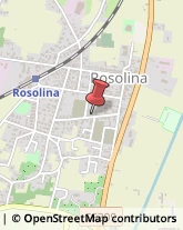 Autotrasporti Rosolina,45010Rovigo