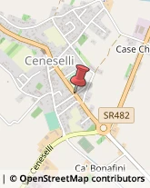 Falegnami Ceneselli,45030Rovigo