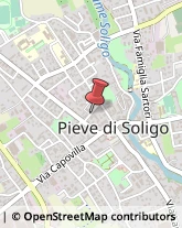 Pediatri - Medici Specialisti Pieve di Soligo,31053Treviso