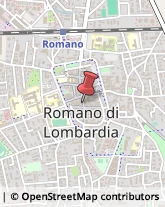 Macellerie Romano di Lombardia,24058Bergamo