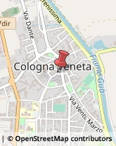 Geometri Cologna Veneta,37044Verona