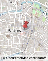 Pasticcerie - Dettaglio Padova,35122Padova